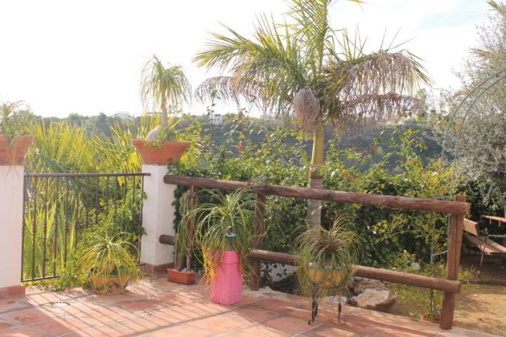 Villa El Nido Nerja Esterno foto
